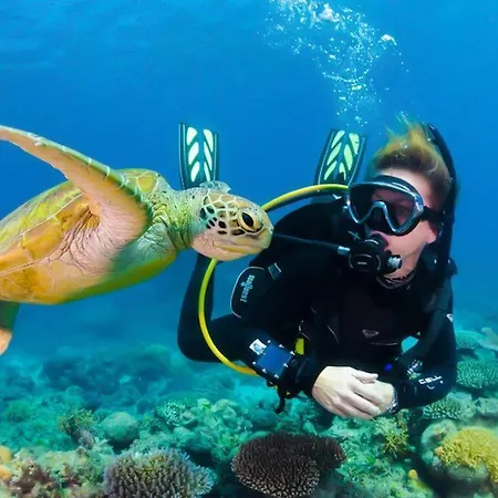 La Maison Di Angelo 2 Zakynthos Island Appartement *